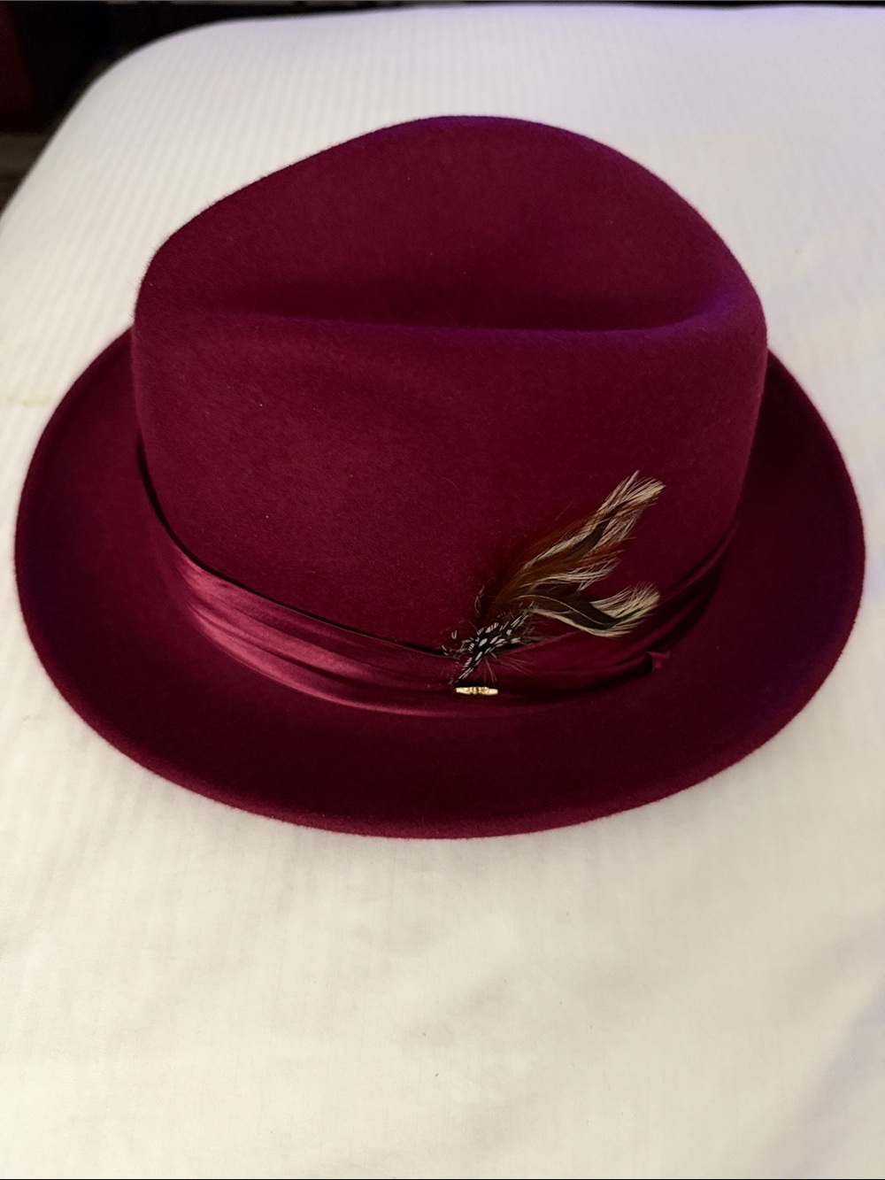 Men's Deep Wine Felt Fedora with Feather Accent